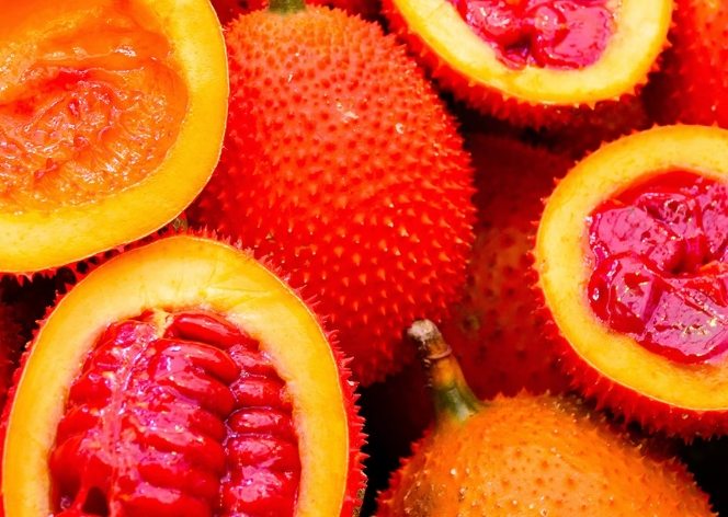 木鱉果油膠囊 功效