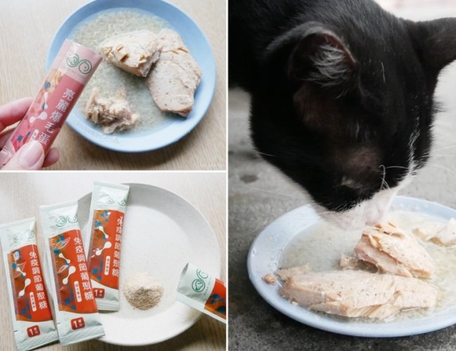 貓咪保健食品年齡