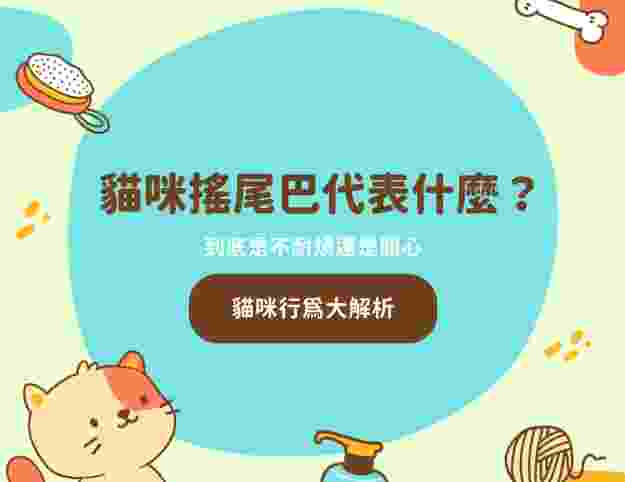 貓咪搖尾巴意思