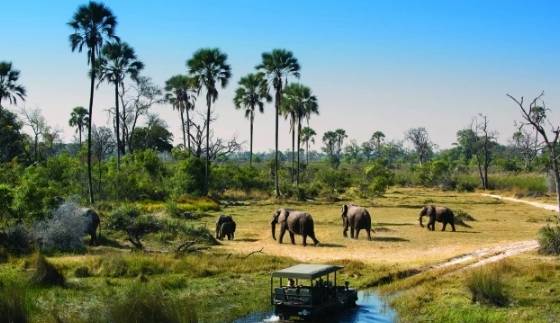 非洲最佳旅遊時間