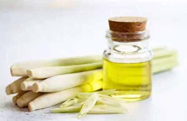 檸檬草精油助眠