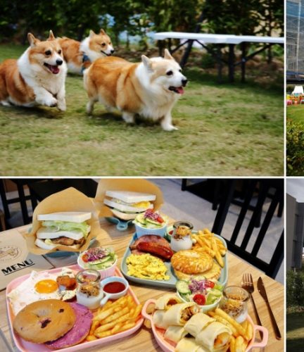 新竹寵物友善餐廳