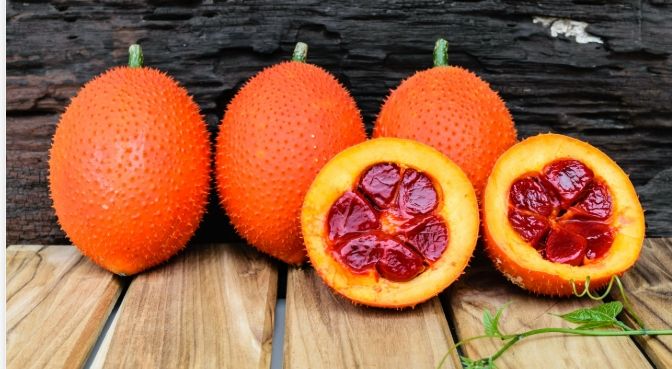 木鱉果油膠囊 推薦