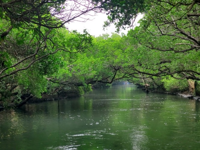 台灣中南部一日遊