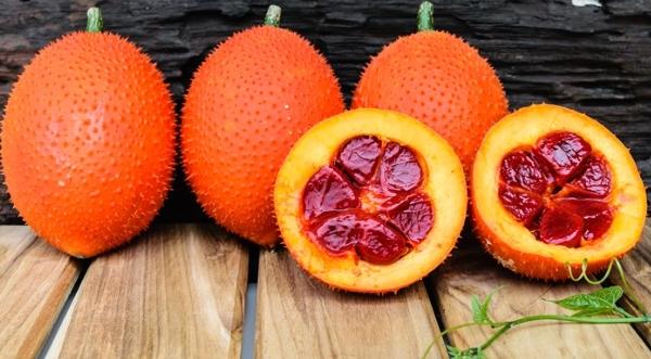 木鱉果參錠功效