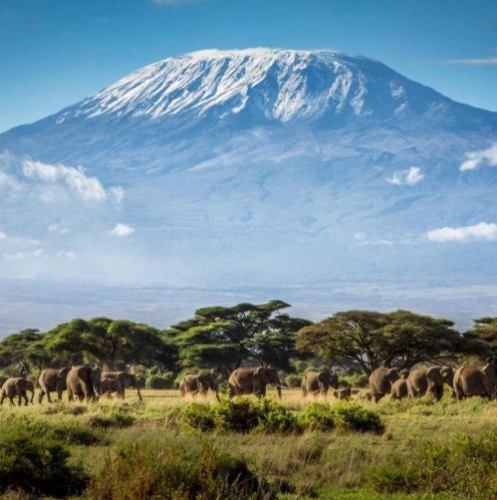 非洲旅遊注意事項
