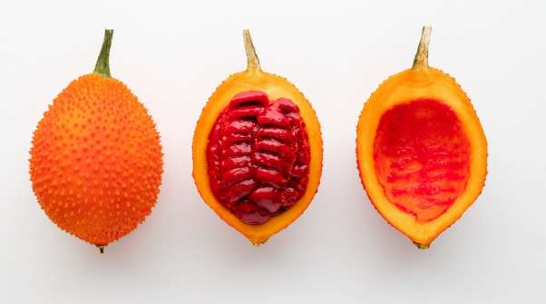 木鱉果參錠功效