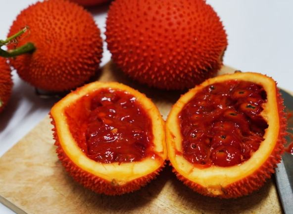 木鱉果參錠推薦