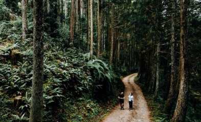 如何深度旅遊台灣