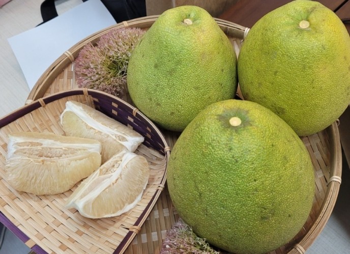 自製柚子優酪乳