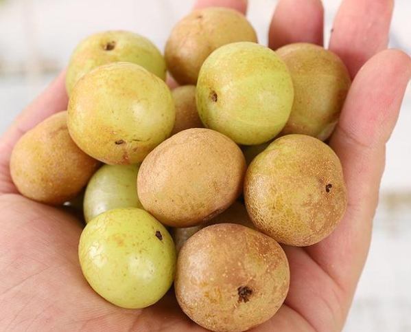 油甘果食用禁忌