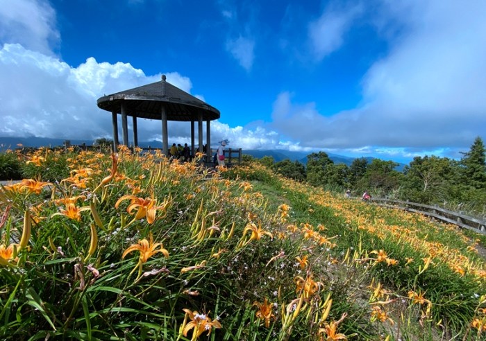 臺東自由行行程