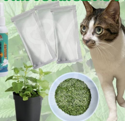 貓薄荷粉使用方法