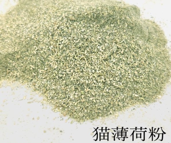 貓薄荷粉安全指南