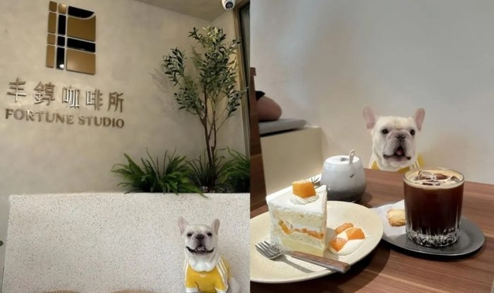 新竹帶寵物旅遊