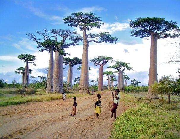 非洲最佳旅遊時間