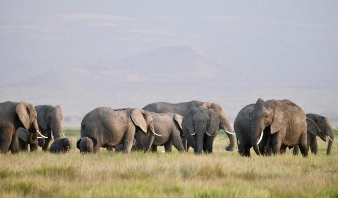 塞倫蓋蒂自由行規劃