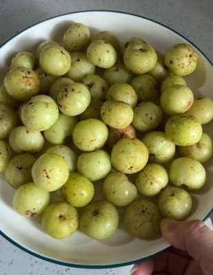 油甘果種植技術