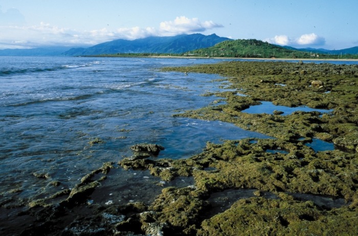 台灣潮間帶旅遊