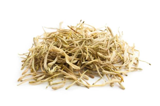 金銀花健康益處