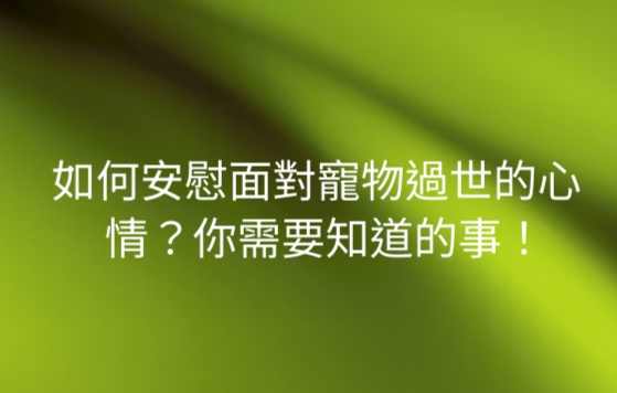 安慰失去宠物的人