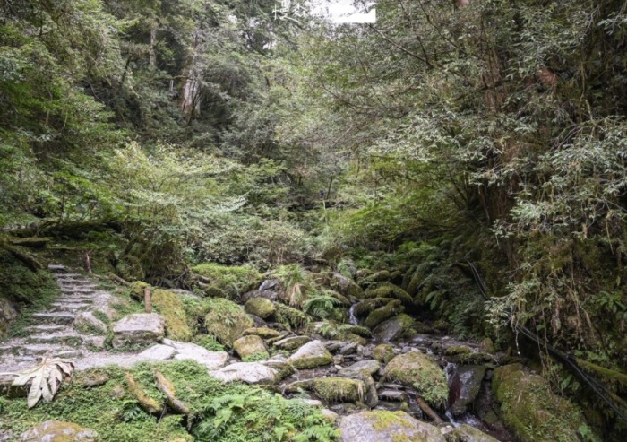 拉拉山步道長度