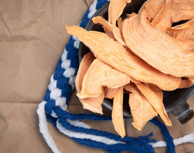 地瓜對狗的好處