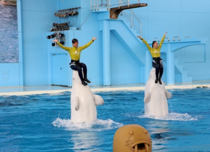 八景島海島樂園門票