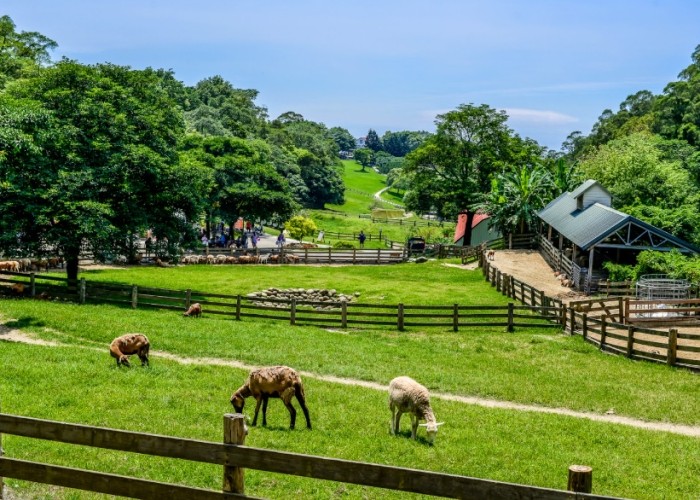兔子跳跳民宿評價