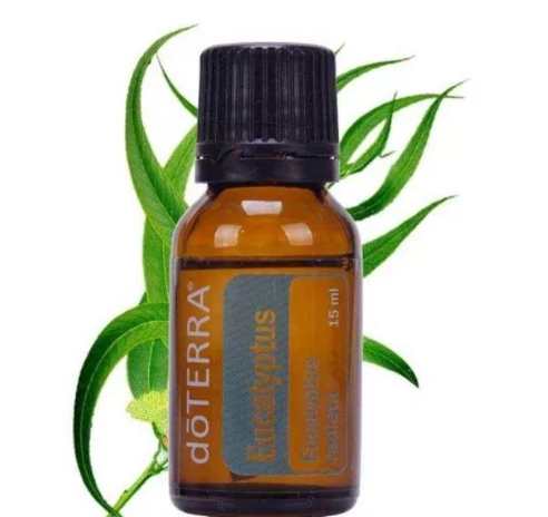 尤加利精油使用方法