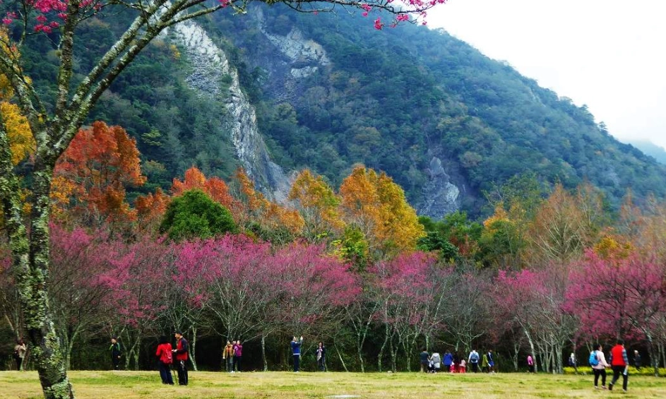 森林遊樂區推薦