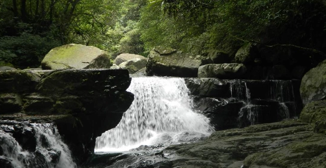 台灣森林旅遊景點