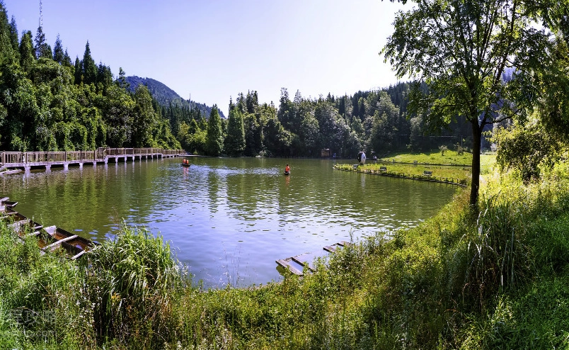台灣國家森林遊樂區列表