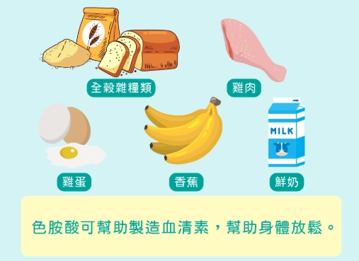 離胺酸攝取來源