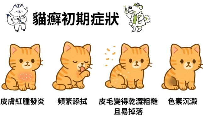 貓癬治療方法