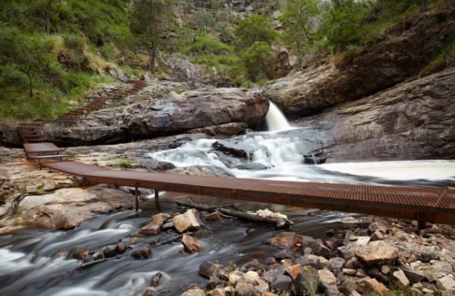 森林遊樂區與國家公園比較