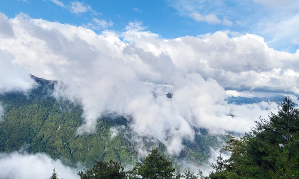 森林遊樂區門票