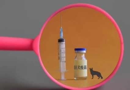 疫苗加強針時機