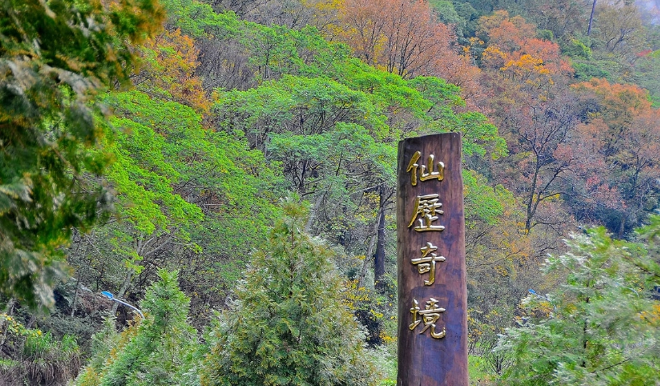 森林遊樂區推薦