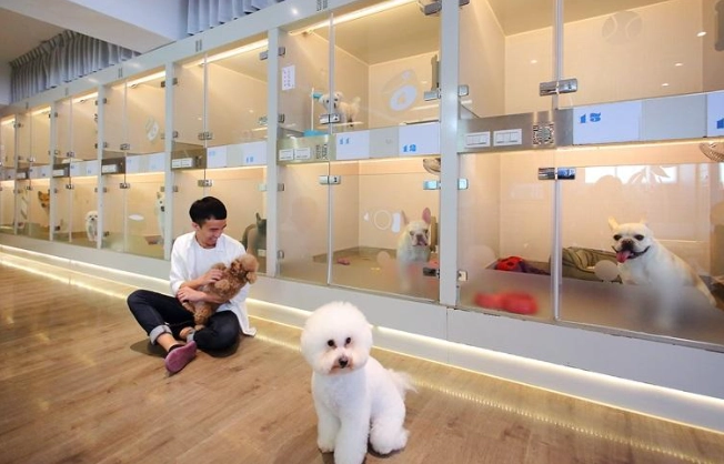 寵物寄宿家庭比較