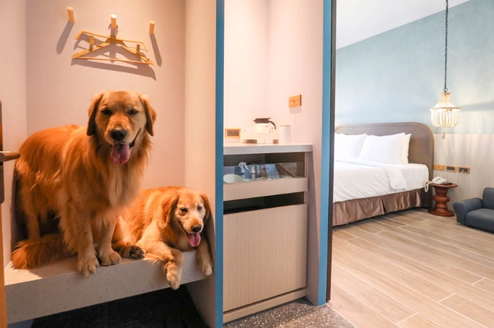 五星級寵物住宿