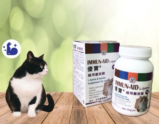 貓離胺酸副作用