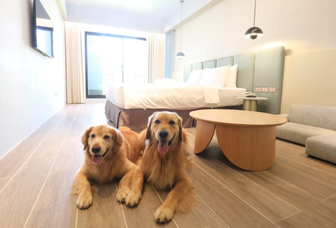 寵物友善飯店台灣