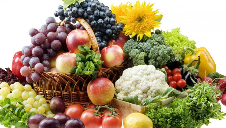 裂紋山烏龜 保育