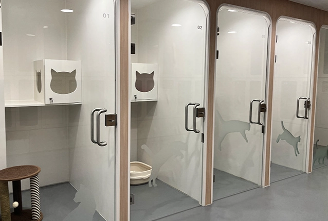 寵物寄養費用一個月