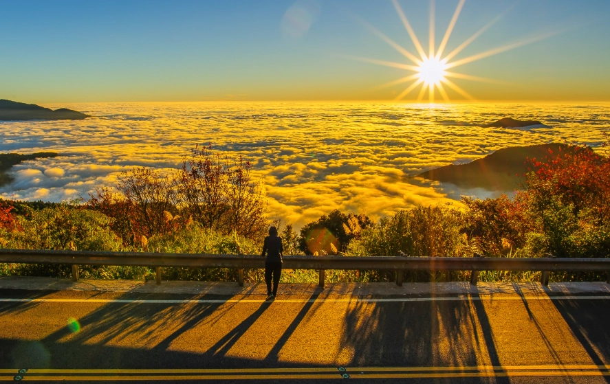 國家森林遊樂區介紹
