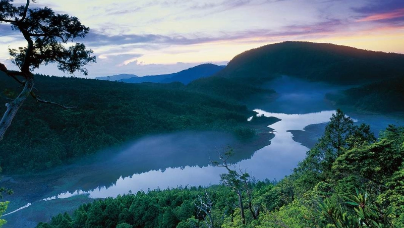 森林遊樂區與國家公園比較
