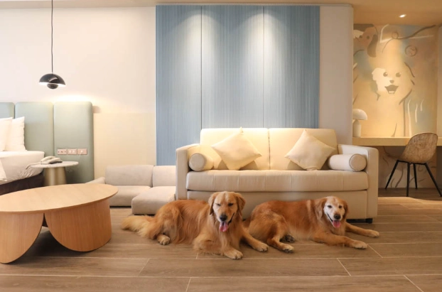 帶寵物住宿高雄