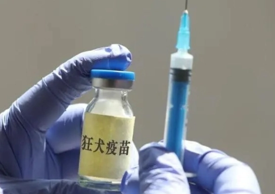 疫苗副作用處理