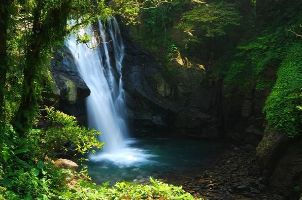 台灣森林旅遊景點